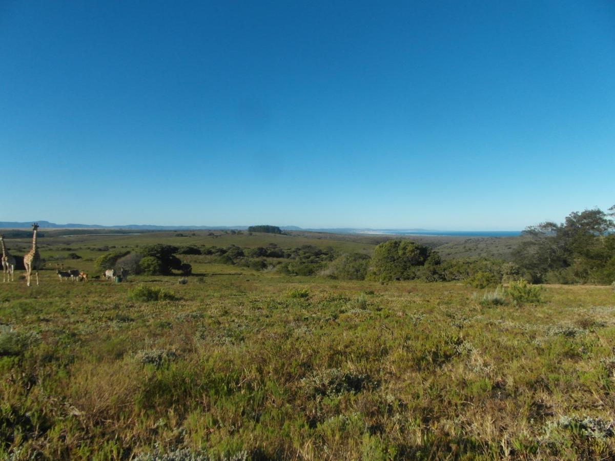 Fijnbosch Game Lodge 제프리스 베이 외부 사진