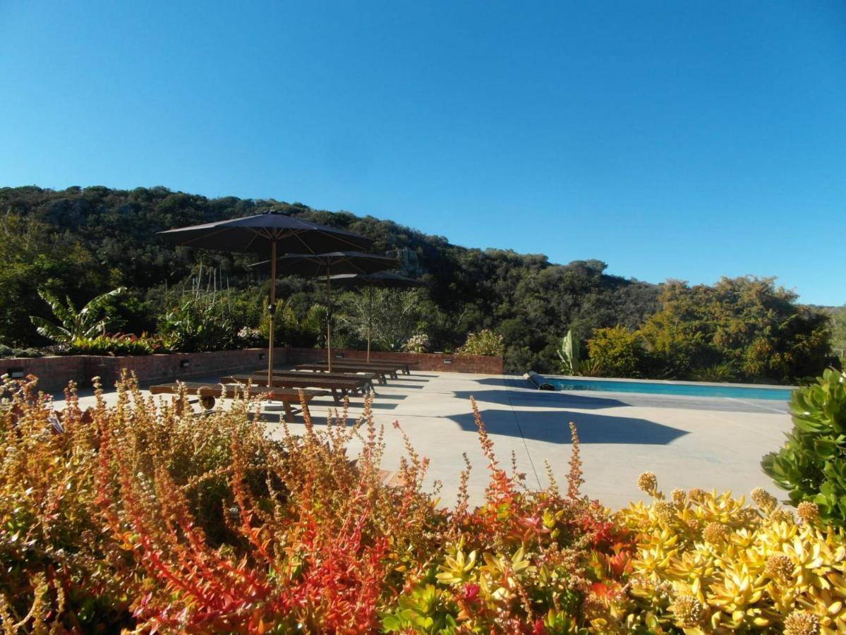 Fijnbosch Game Lodge 제프리스 베이 외부 사진